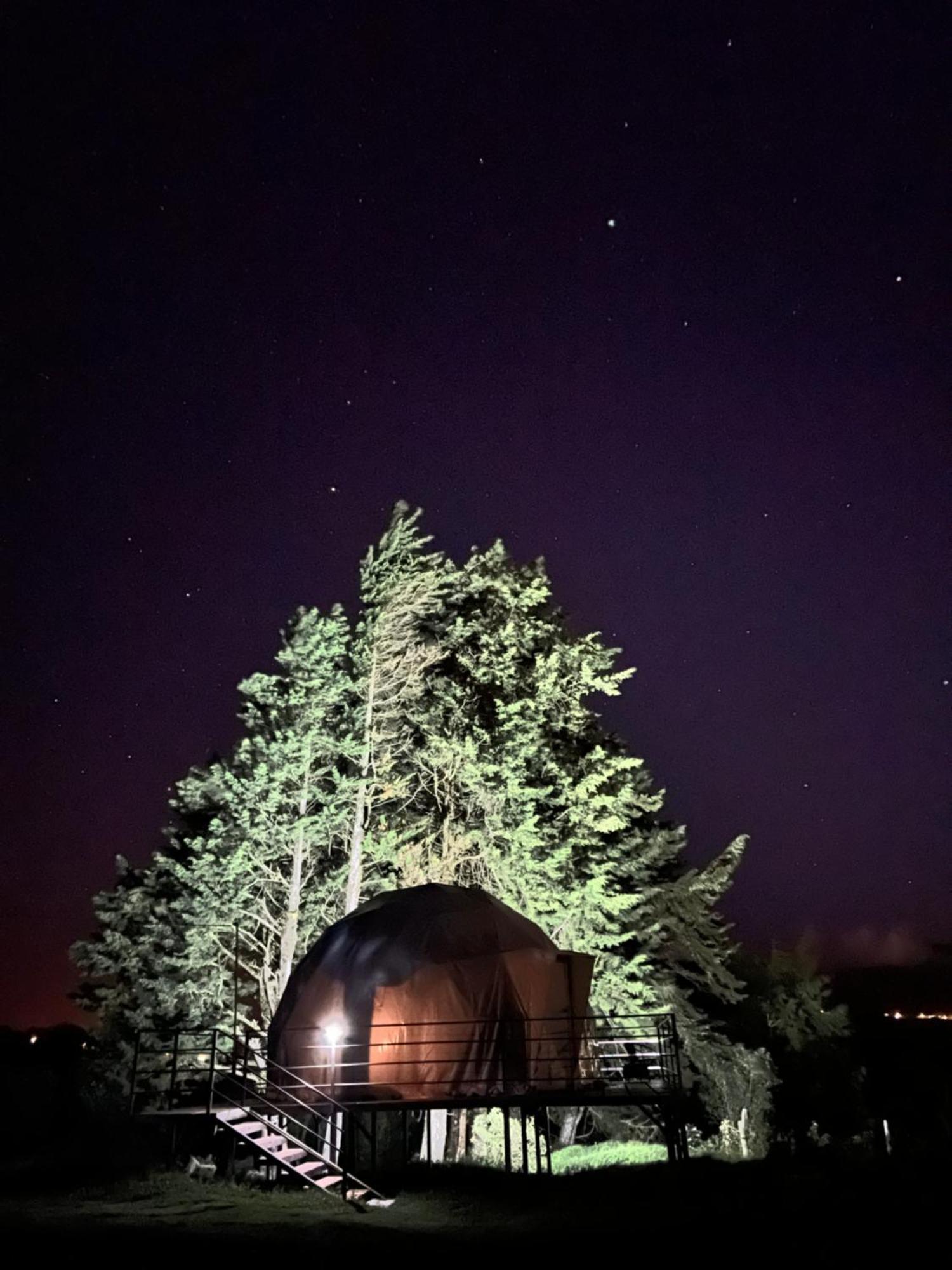 Green Noise Glamping Fraijanes Екстериор снимка